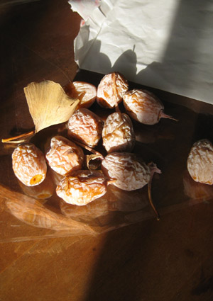 e0134232_11251597.jpg