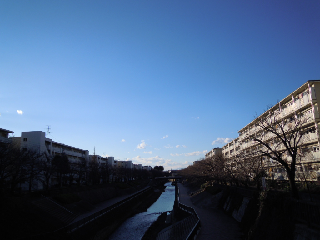 e0081334_12415920.jpg