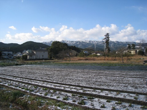 c0077338_6484271.jpg