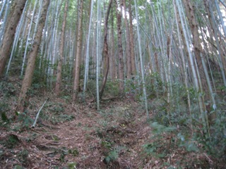 c0077338_6493790.jpg
