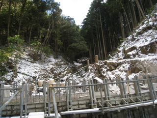 c0077338_7353299.jpg