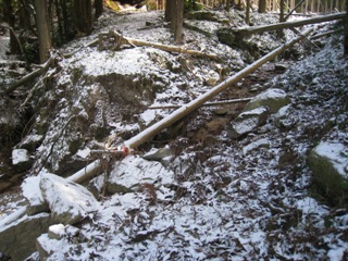 c0077338_736125.jpg