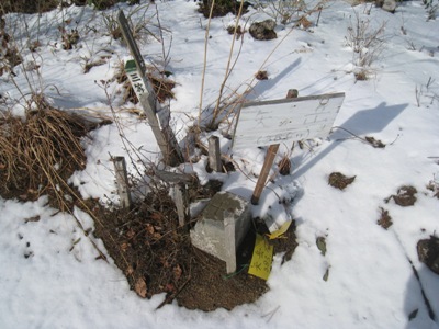 c0077338_737964.jpg
