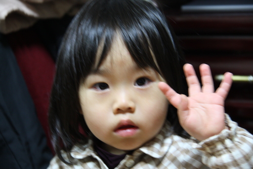 c0153740_2354584.jpg