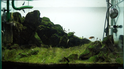 b0202747_21352312.jpg