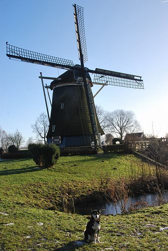 e0145753_21154367.jpg