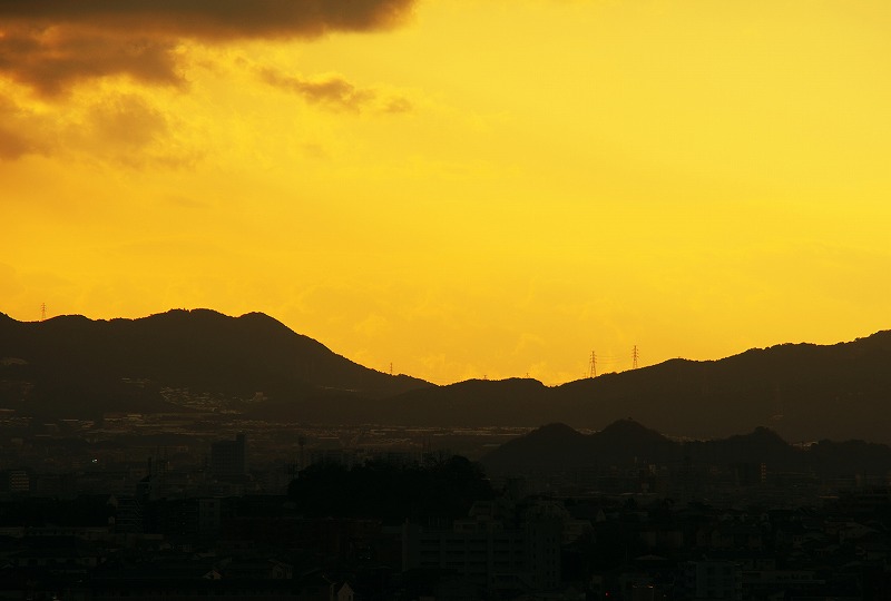 b0131167_164659100.jpg