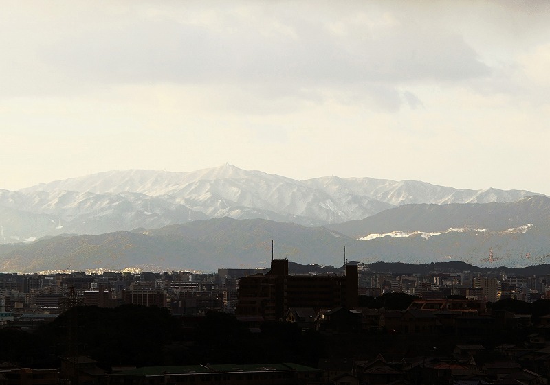 b0131167_1723627.jpg
