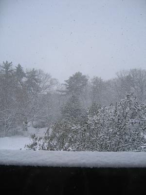 e0031568_12432375.jpg