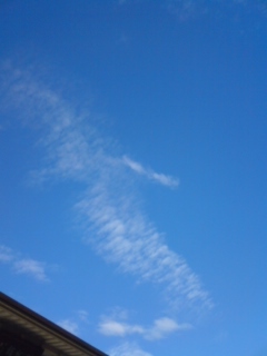 f0207969_10212812.jpg