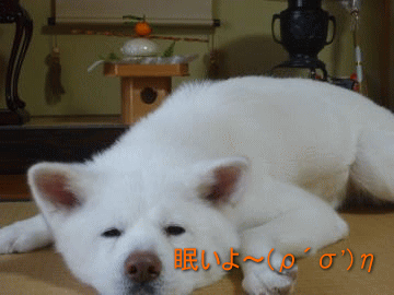 a0187087_23314993.gif