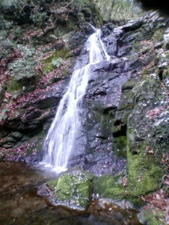 b0050787_22364653.jpg