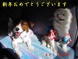 e0121589_1151934.jpg