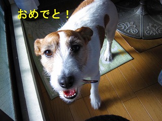 e0121589_1263847.jpg