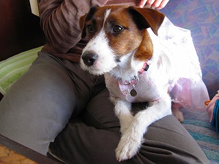 e0121589_128476.jpg