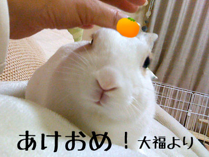f0201191_2173165.jpg