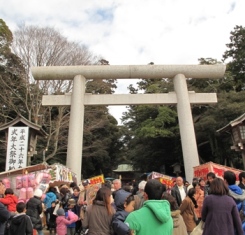 b0161394_16475510.jpg