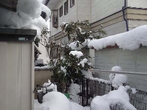 e0122199_16423189.jpg