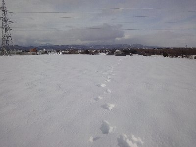 e0122199_16435116.jpg