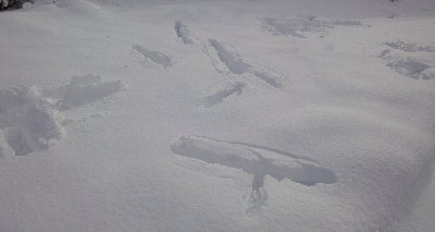 e0122199_16442169.jpg