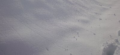 e0122199_16444933.jpg