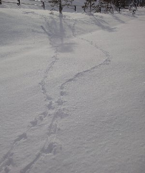 e0122199_16451533.jpg