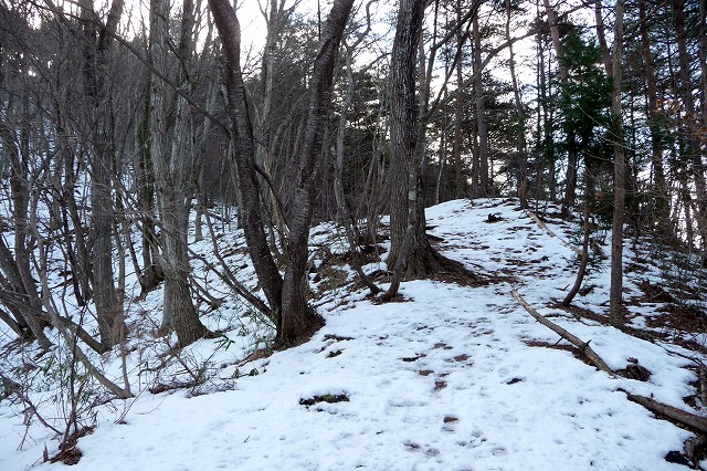 e0137200_17275498.jpg
