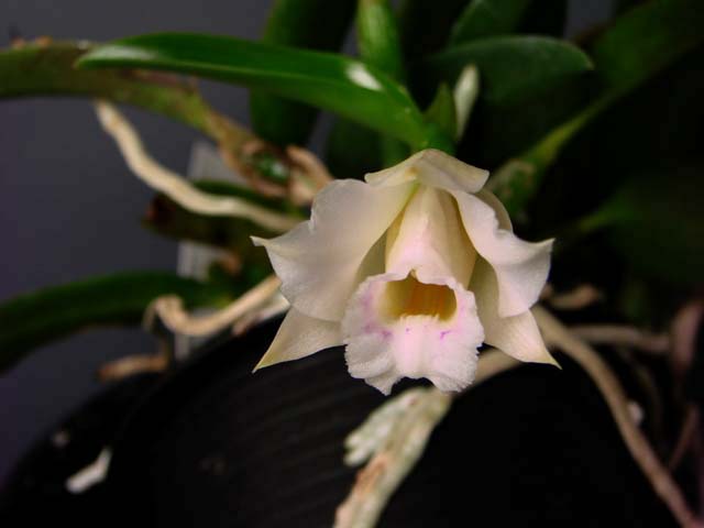 d0007501_014551.jpg
