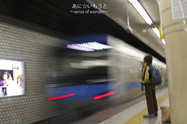 a0112402_7471218.jpg
