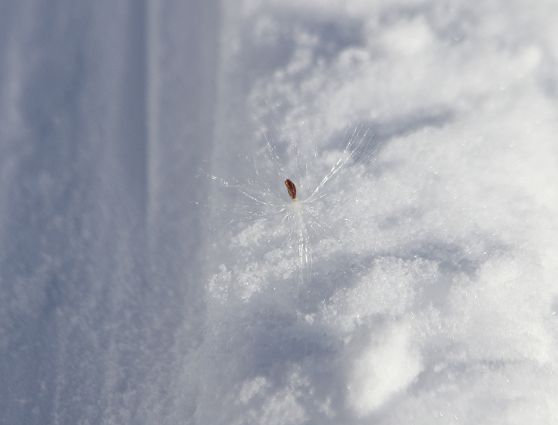 c0155902_2153726.jpg