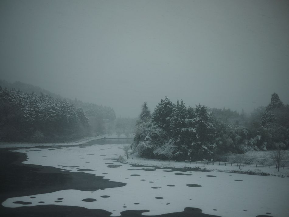 c0187503_204669.jpg