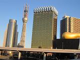 e0119003_10595834.jpg