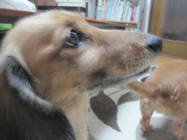 f0202703_716553.jpg