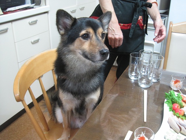 f0202703_7182663.jpg