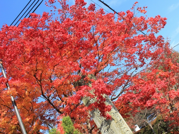 c0228404_1044745.jpg