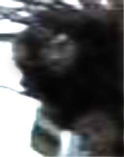 e0103408_15184051.jpg