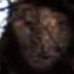 e0103408_1534129.jpg