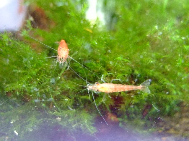 f0152308_14411639.jpg