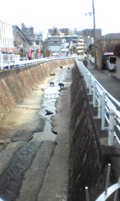 c0180209_1710242.jpg
