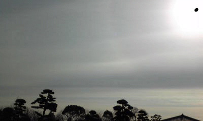 c0180209_1794173.jpg