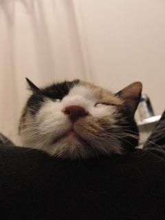 c0201113_2371172.jpg