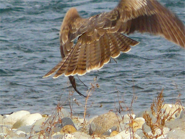 d0205917_22454528.jpg