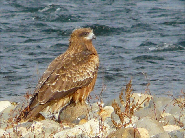 d0205917_22475230.jpg