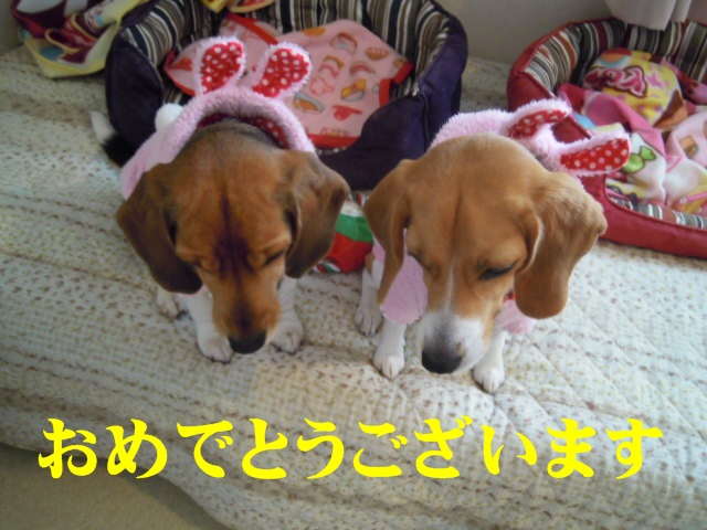 c0166622_20425250.jpg