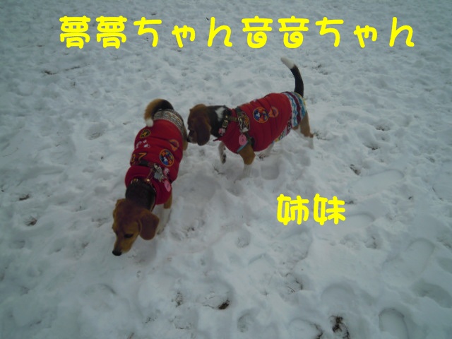 c0166622_21135277.jpg