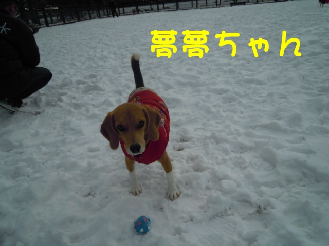 c0166622_2115712.jpg