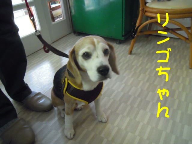 c0166622_21231826.jpg
