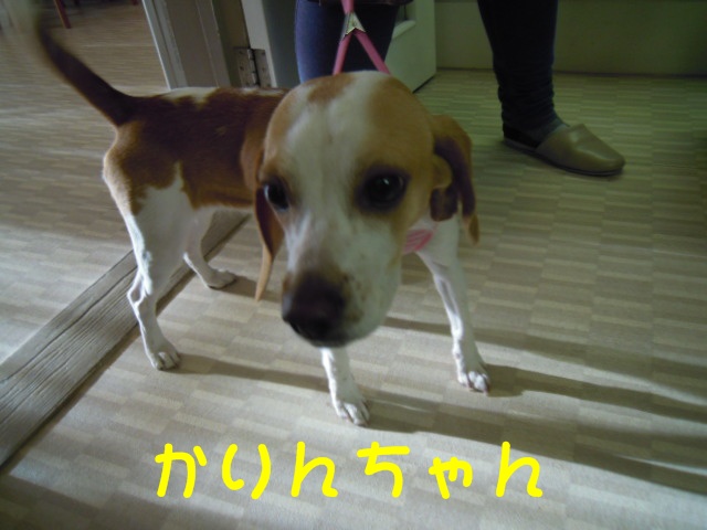 c0166622_21232980.jpg