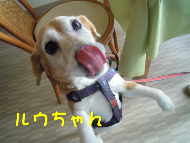 c0166622_21234271.jpg