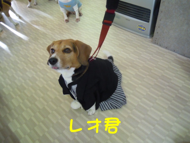 c0166622_2123782.jpg